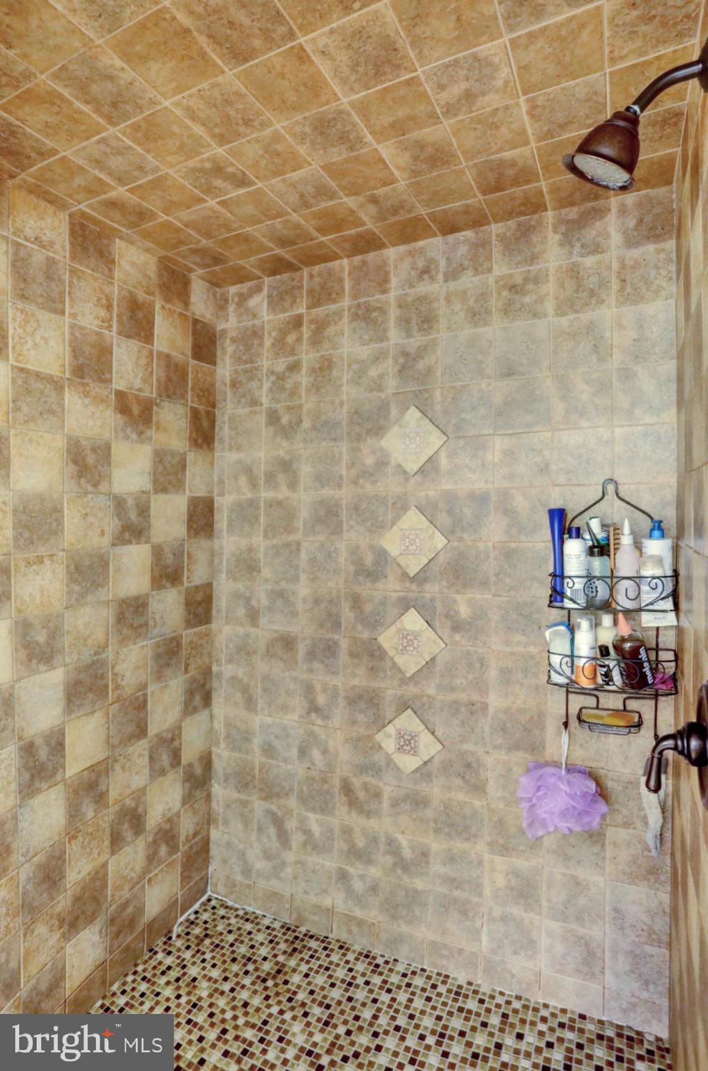 1742 Mineral Spring Road Reading, PA 19602 - Photo 17 of 31 a bathroom with a shower