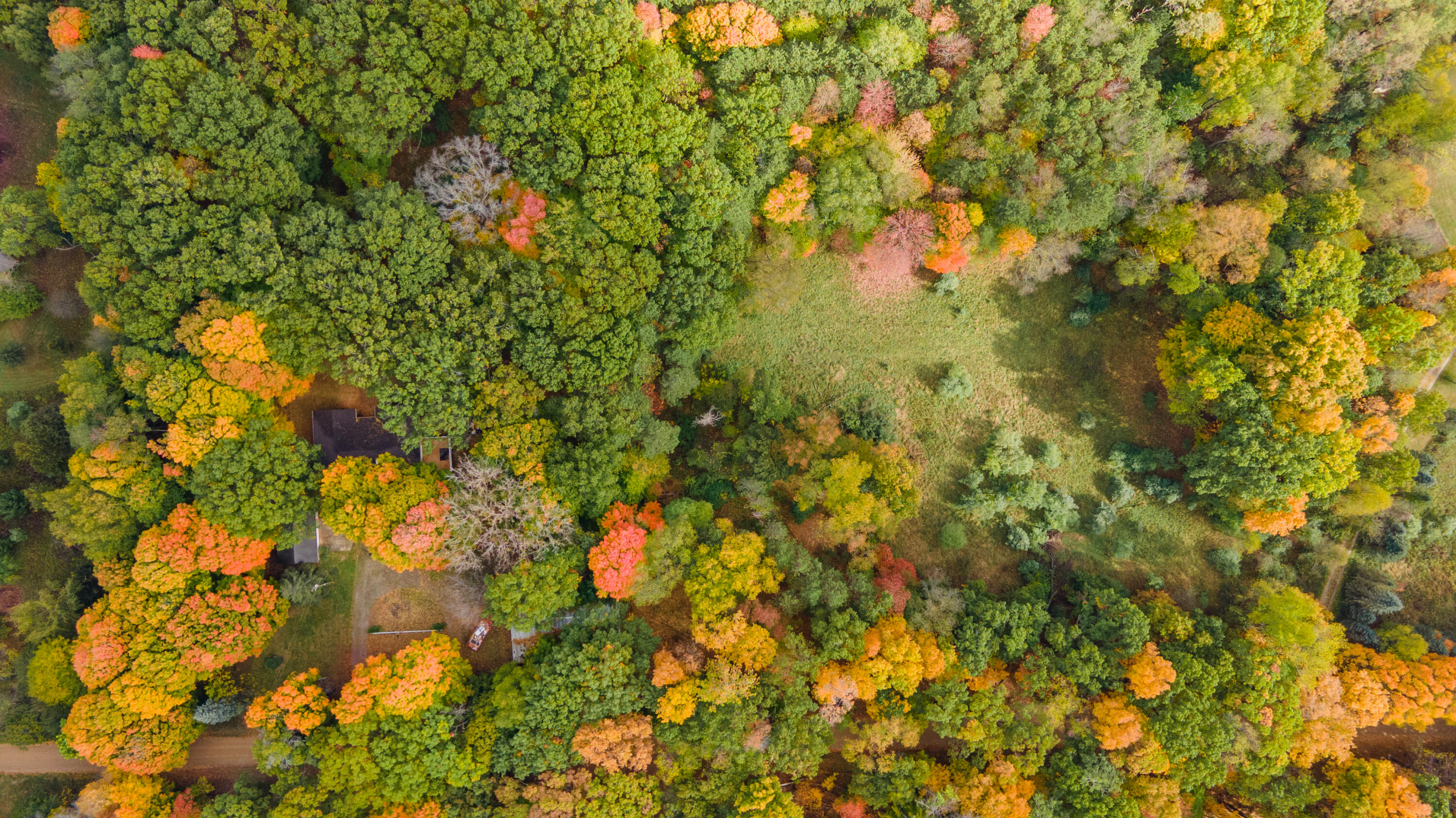 14086 Kane Road Plainwell, MI 49080 - Photo 2 of 58 DJI_0786