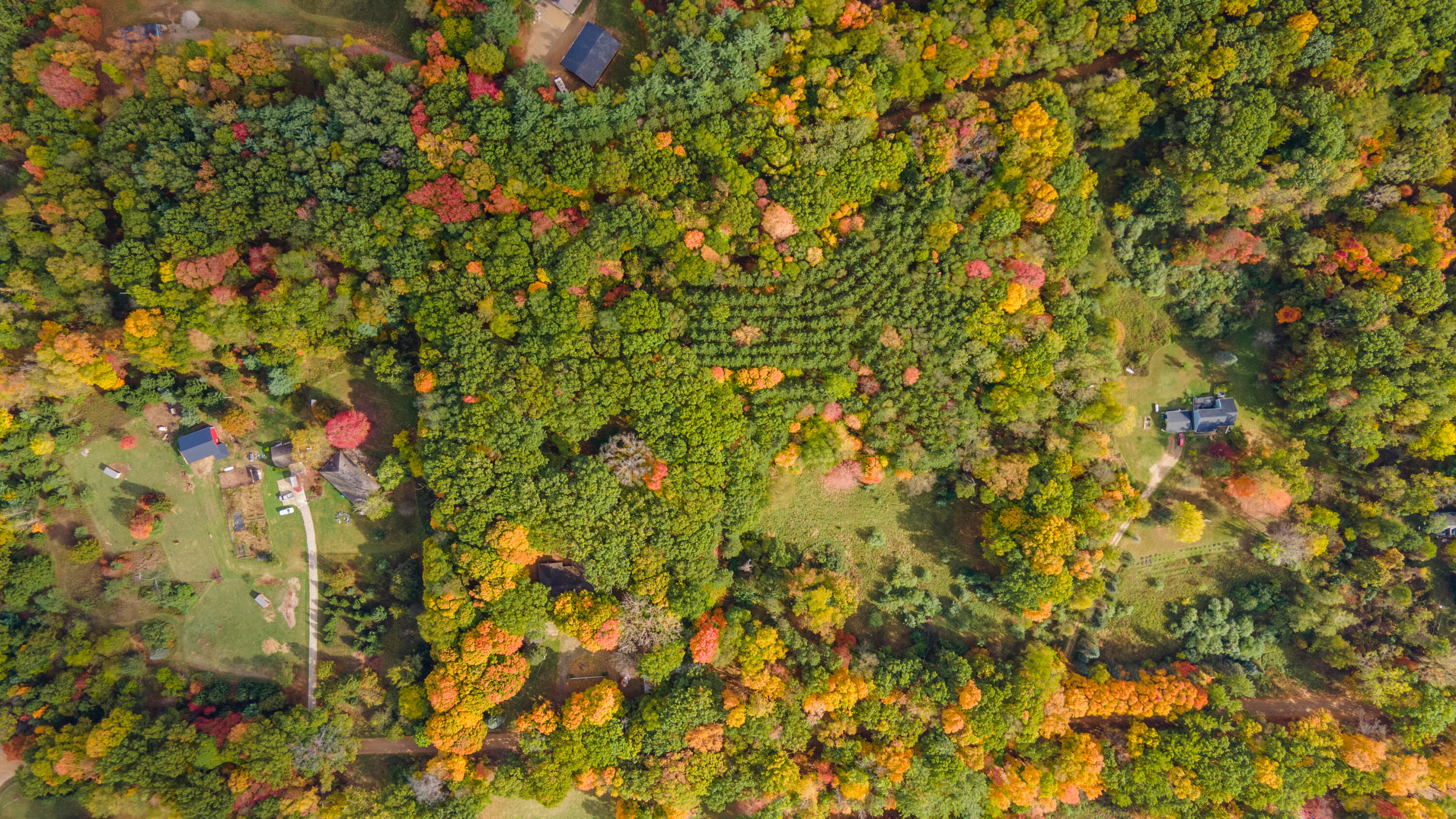 14086 Kane Road Plainwell, MI 49080 - Photo 46 of 58 DJI_0784