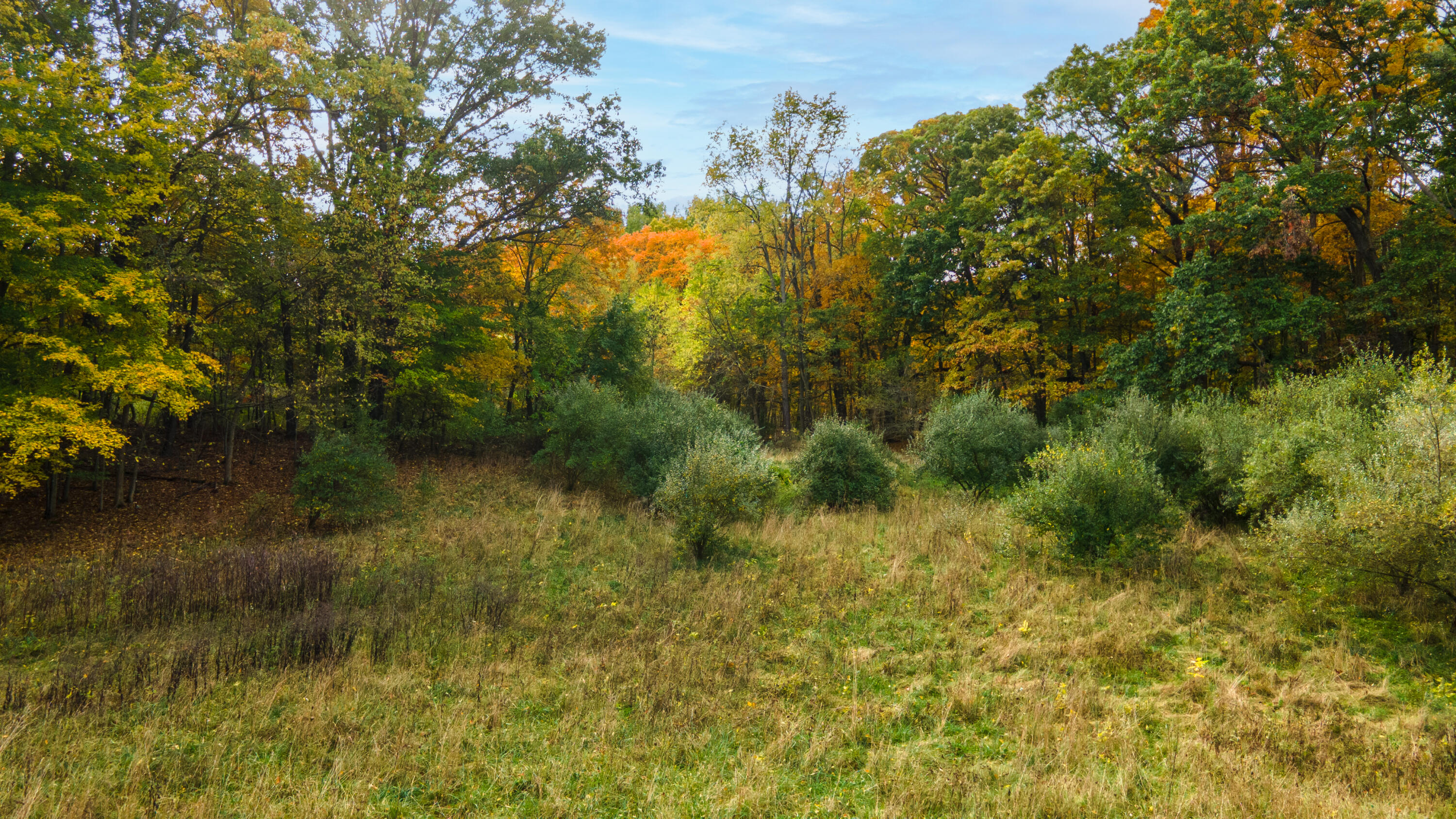 14086 Kane Road Plainwell, MI 49080 - Photo 50 of 58 DJI_0788-Edit
