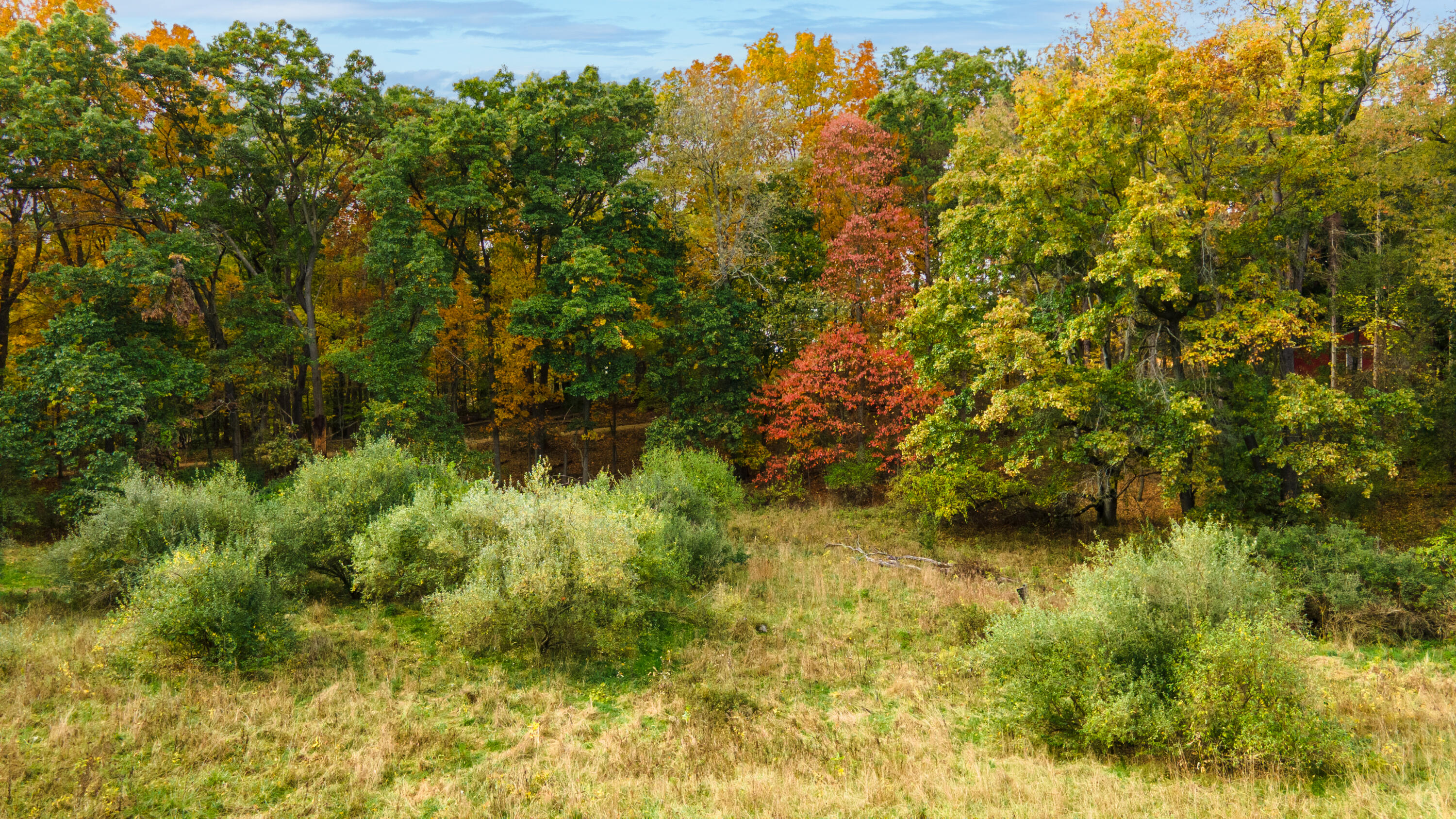 14086 Kane Road Plainwell, MI 49080 - Photo 51 of 58 DJI_0790-Edit