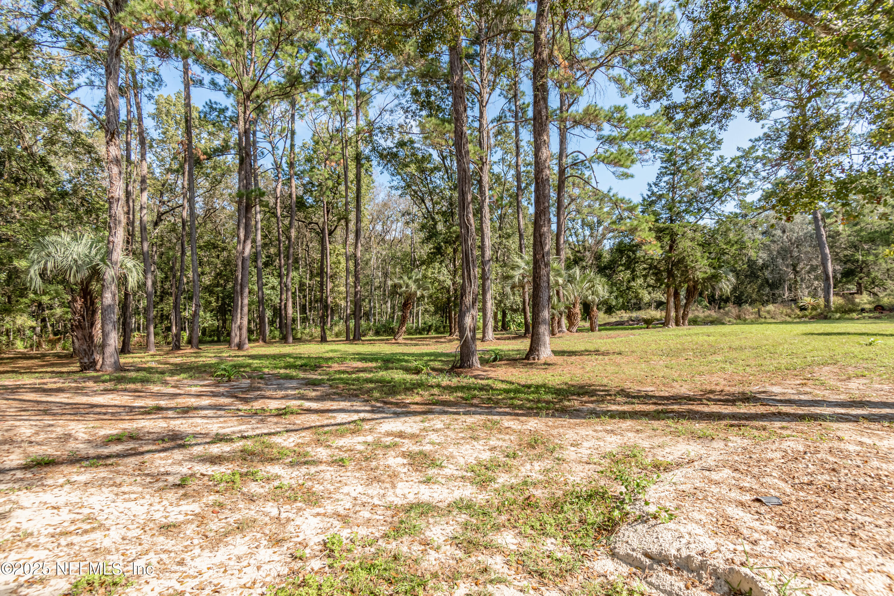 5577 Myrtle Road Macclenny, FL 32063 - Photo 47 of 58 a view of a yard with a trees
