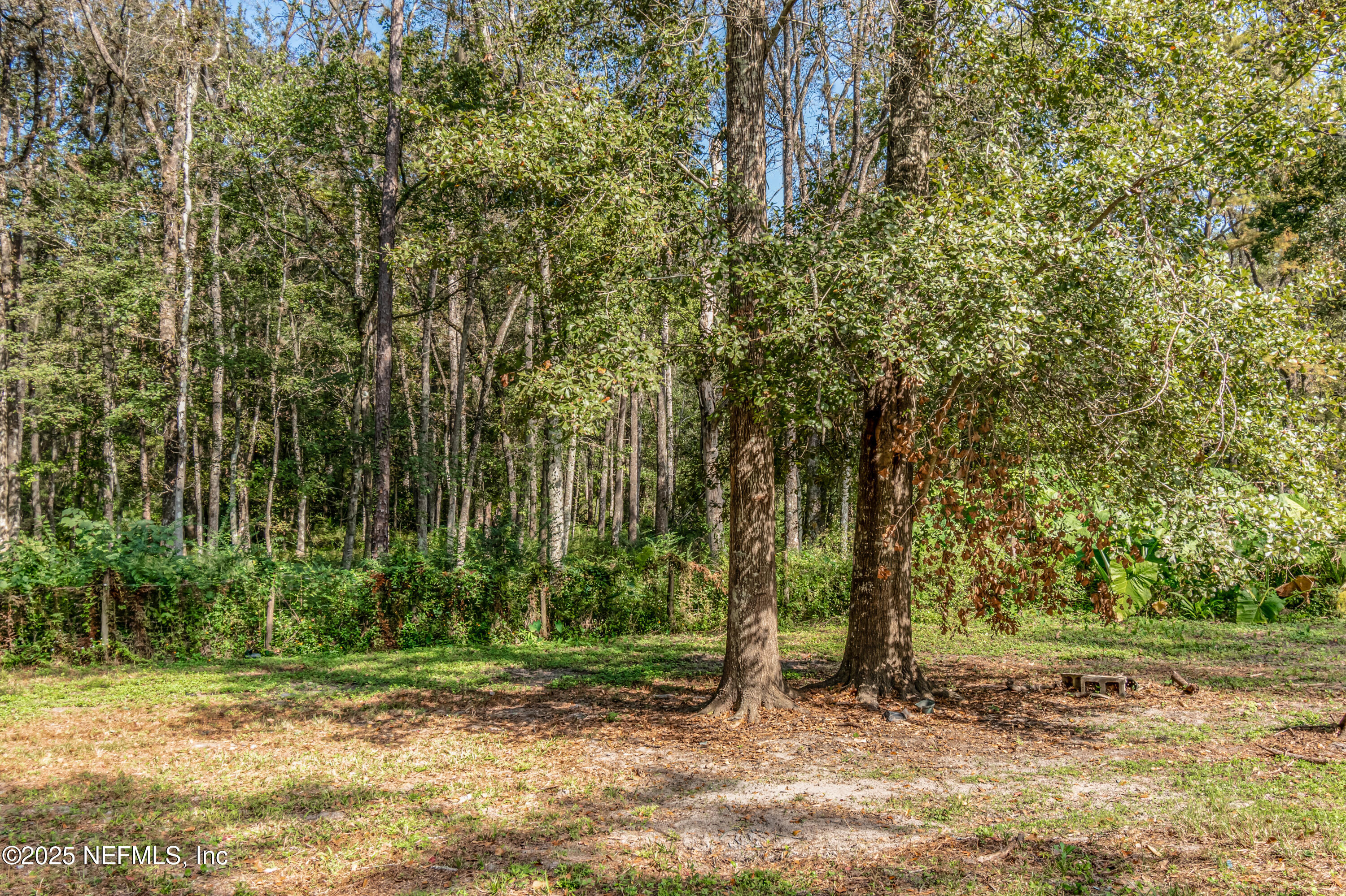 5577 Myrtle Road Macclenny, FL 32063 - Photo 50 of 58 a view of a yard with trees