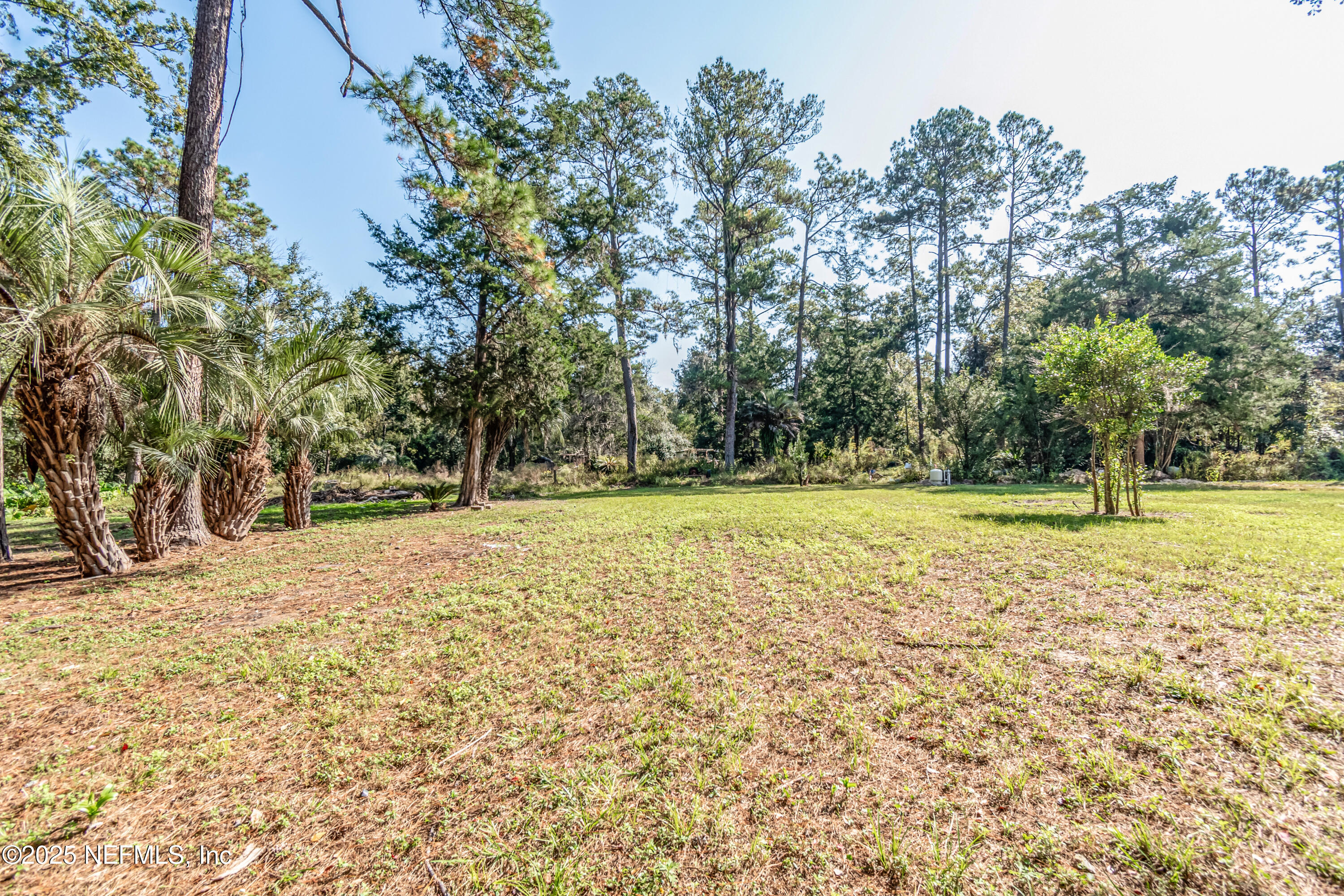 5577 Myrtle Road Macclenny, FL 32063 - Photo 55 of 58 a view of outdoor space with trees