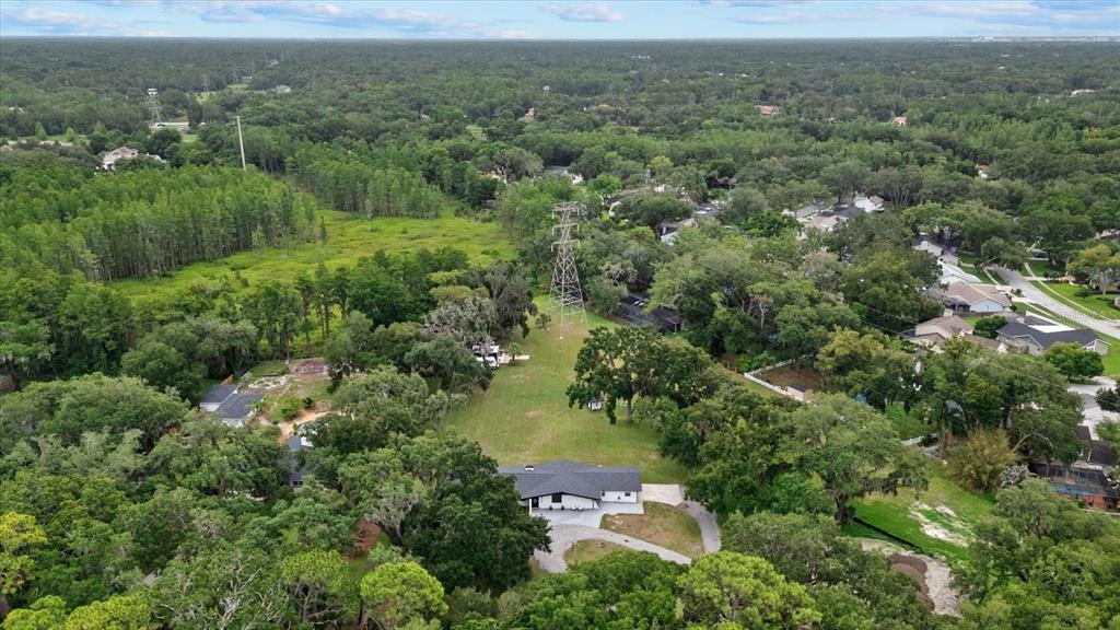 3518 Berger Road Lutz, FL 33548 - Photo 5 of 54