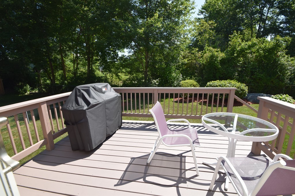 41 Stevens Terrace Randolph, MA 02368 - Photo 38 of 38