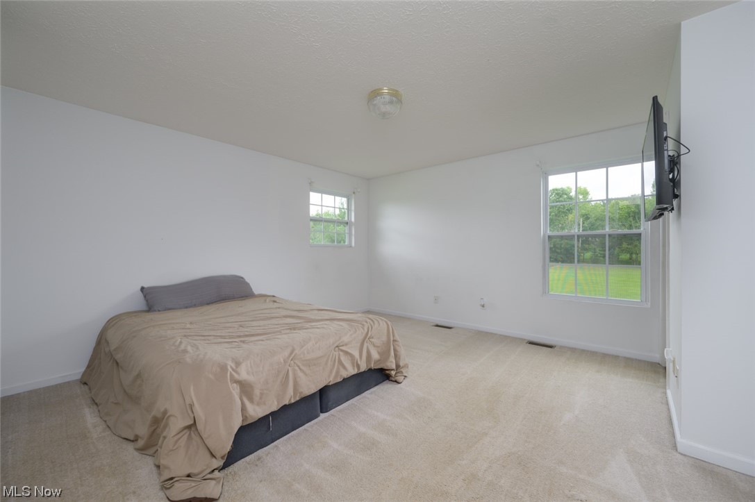 8045 State Rte 5 Ravenna, OH 44266 - Photo 21 of 32 Bedroom featuring multiple windows and light carpet