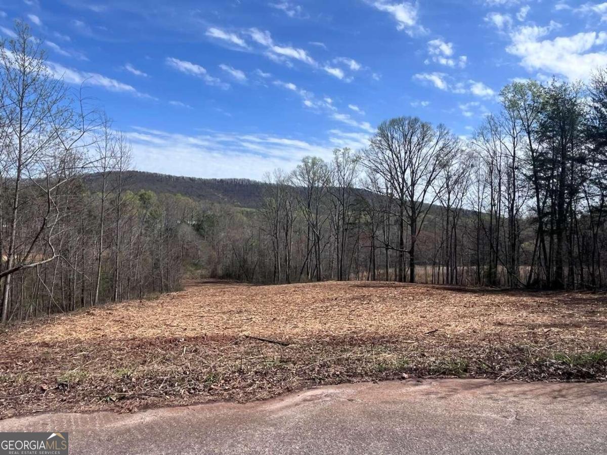 Lot 9 Jonney Thomas Road Cleveland, GA 30528 - Photo 1 of 1 Gallery Image 1