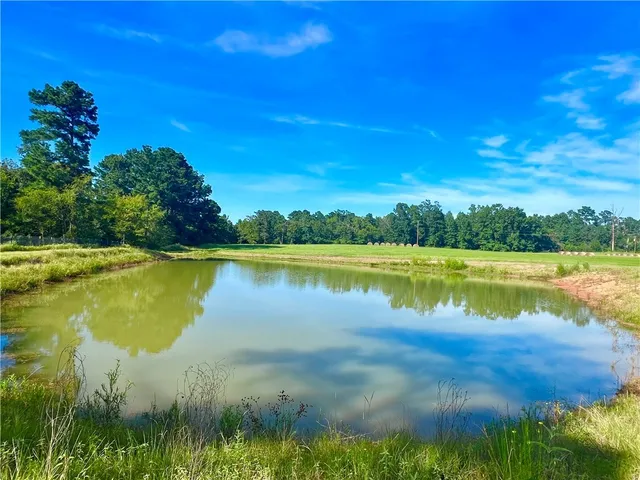a kitchen with a refrigerator a sink a stove and a cabinets