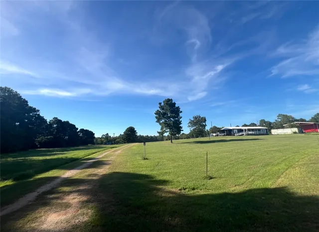 a view of a big yard with a large trees