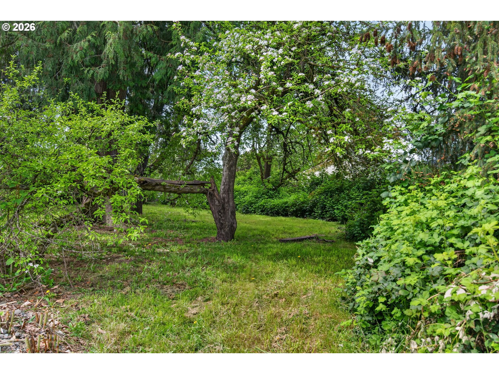 19100 Southwest Blanton Street Beaverton, OR 97078 - Photo 40 of 43