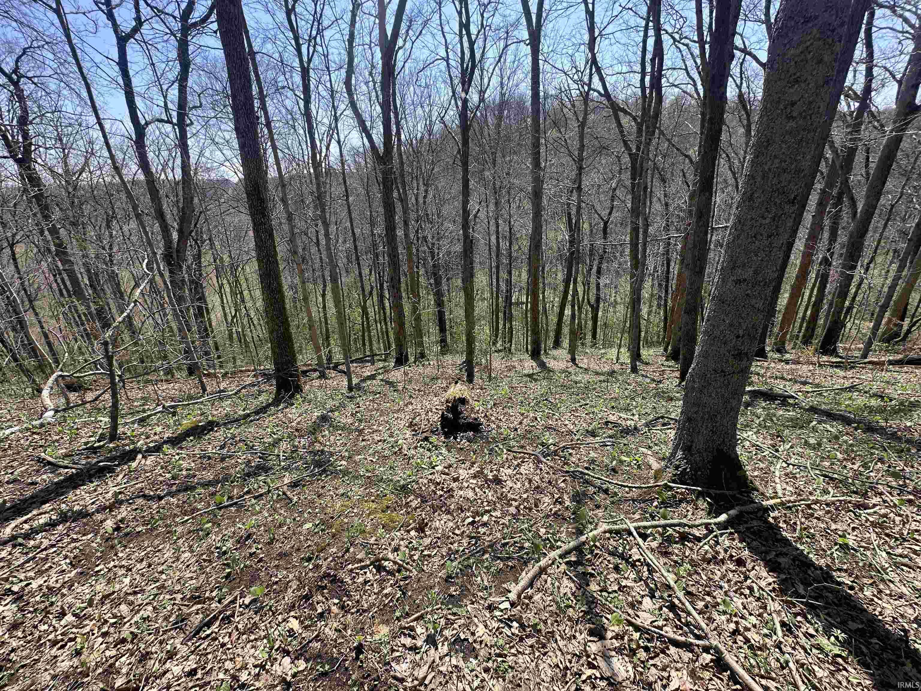 0 Red Oak Lane Laurel, IN 47024 - Photo 12 of 23
