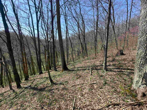 $157,000 | 0 Red Oak Lane, Laurel, IN 47024