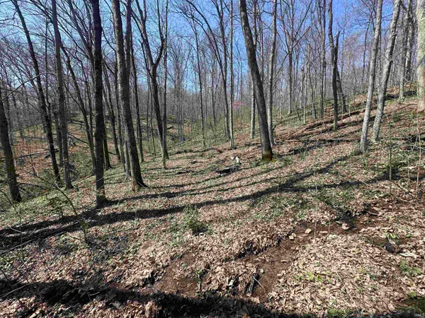 $157,000 | 0 Red Oak Lane, Laurel, IN 47024