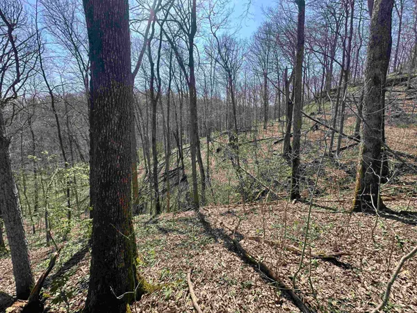 $157,000 | 0 Red Oak Lane, Laurel, IN 47024