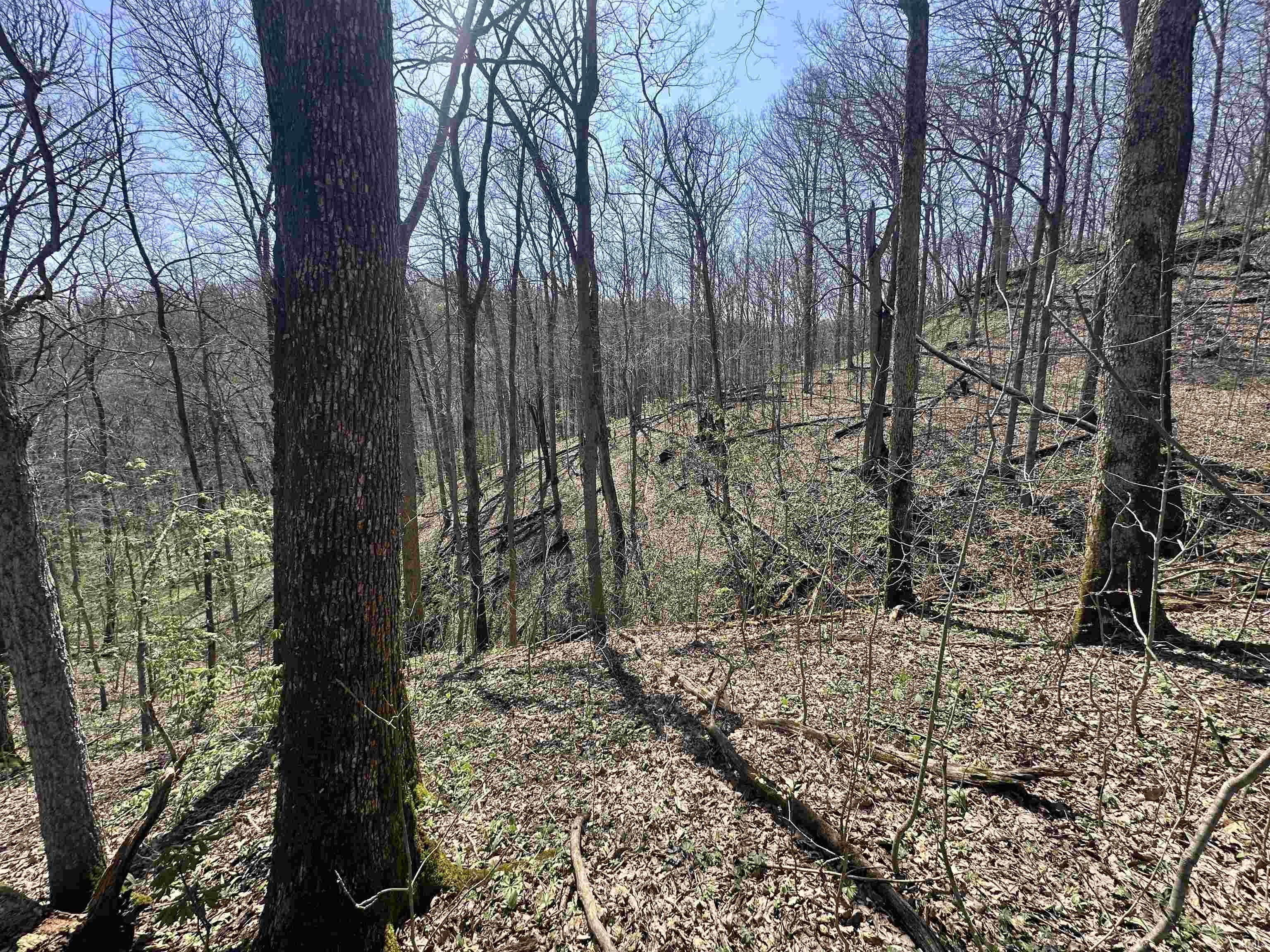 0 Red Oak Lane Laurel, IN 47024 - Photo 15 of 23