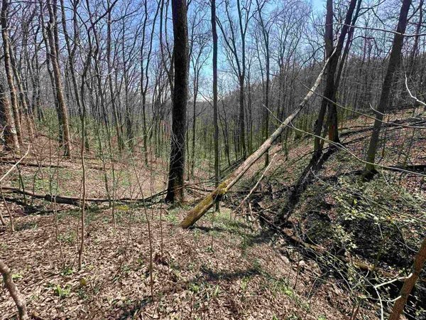 $157,000 | 0 Red Oak Lane, Laurel, IN 47024