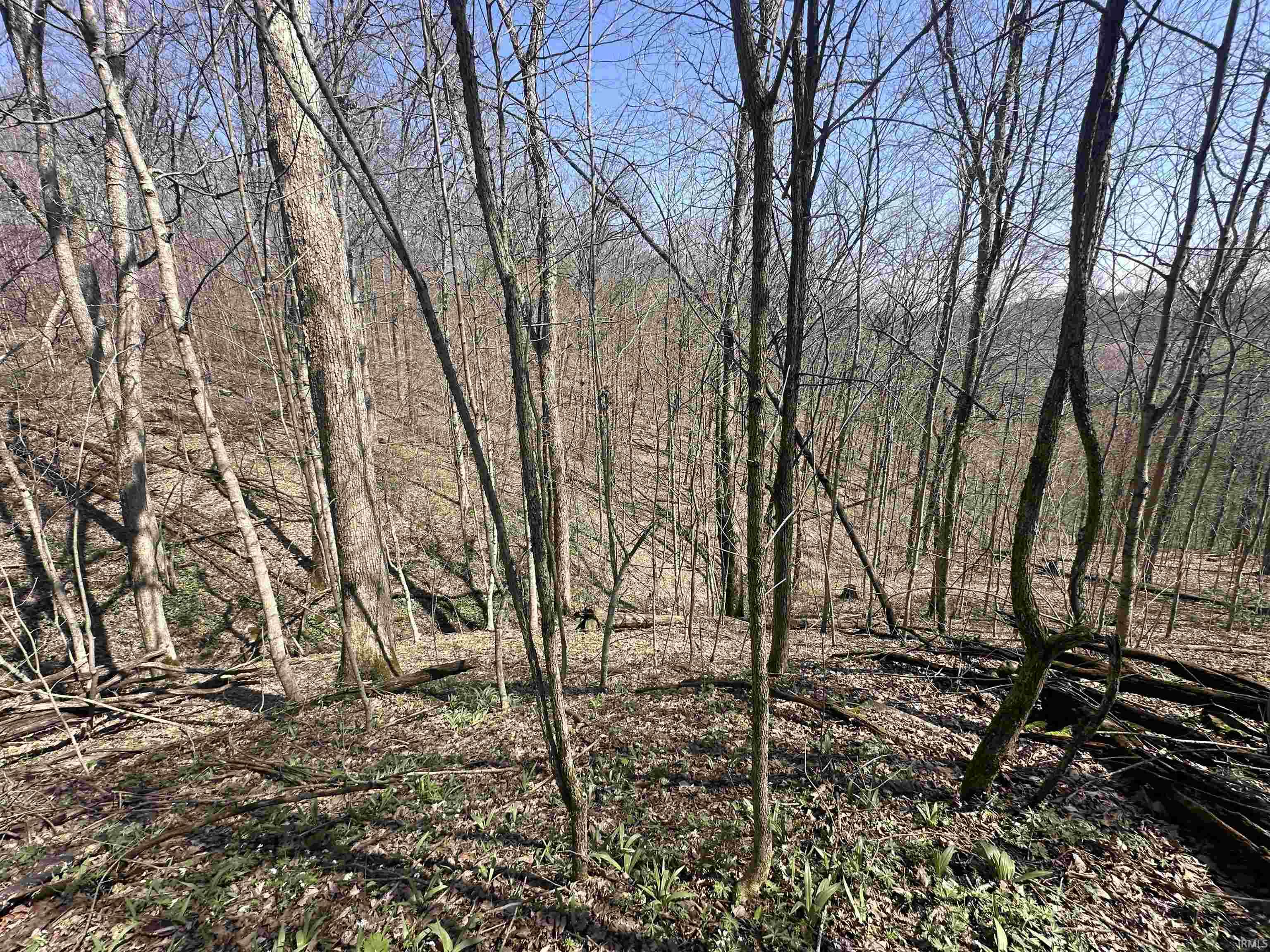 0 Red Oak Lane Laurel, IN 47024 - Photo 18 of 23