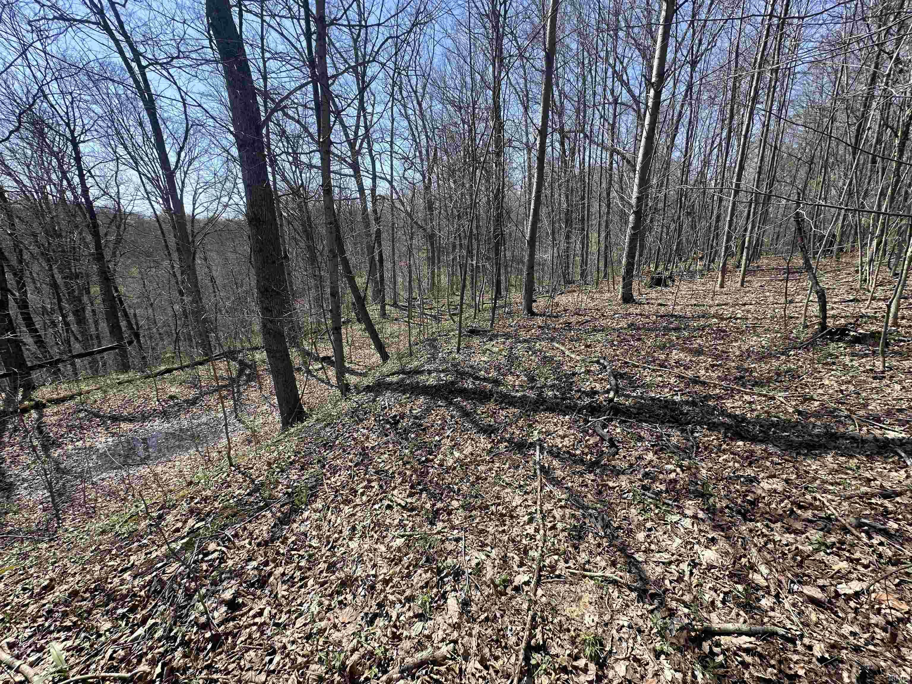 0 Red Oak Lane Laurel, IN 47024 - Photo 19 of 23