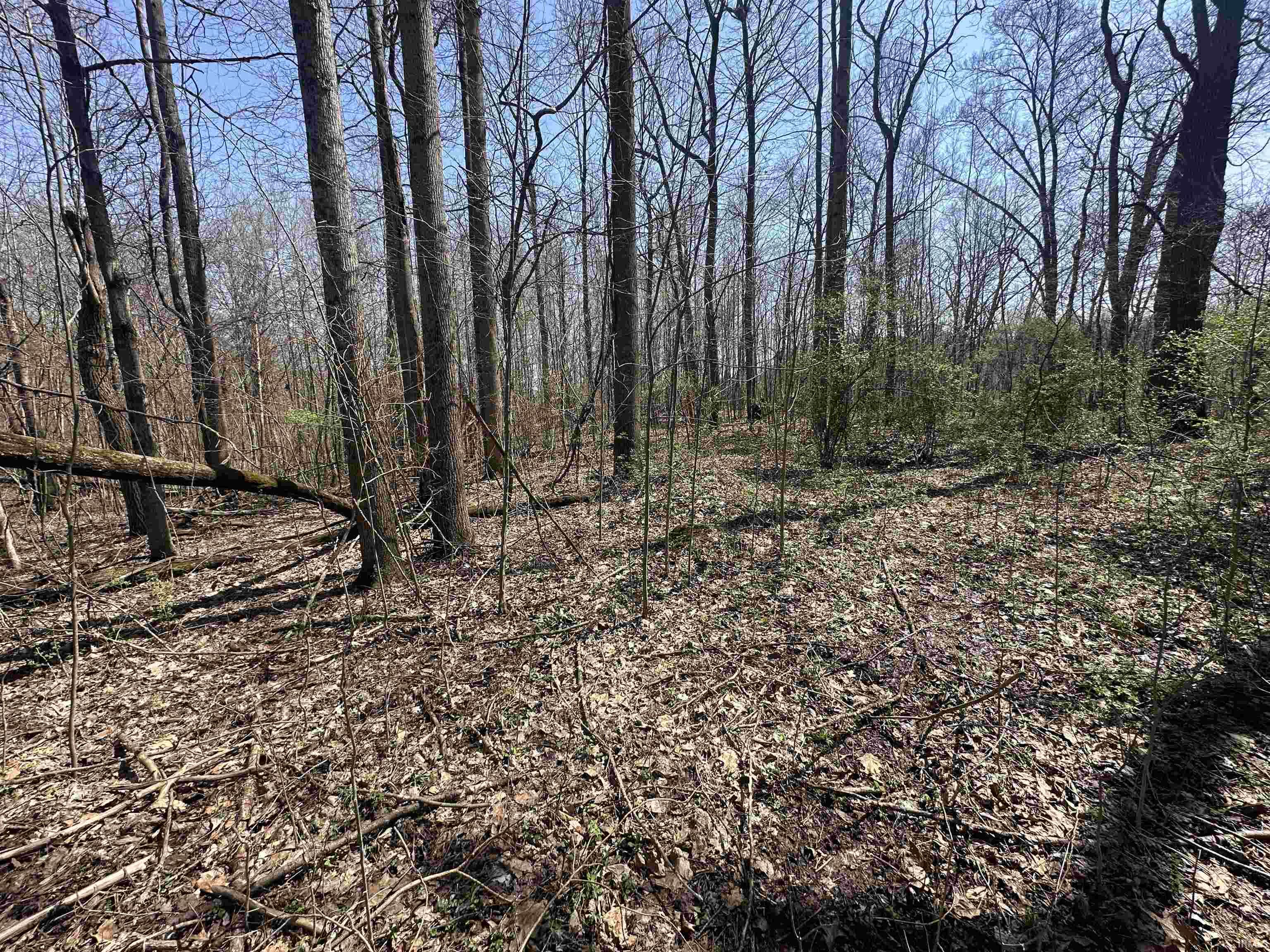 0 Red Oak Lane Laurel, IN 47024 - Photo 20 of 23