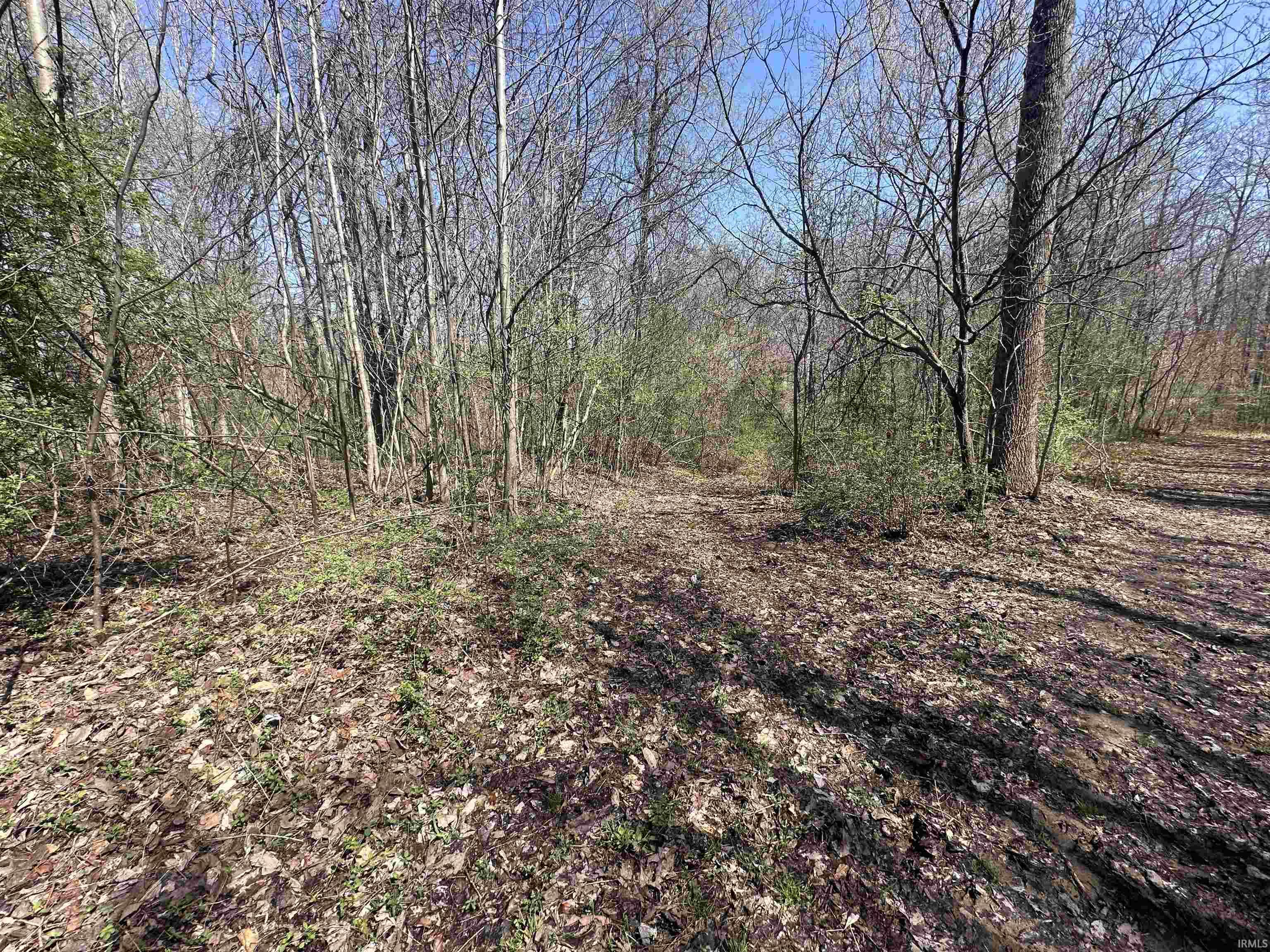 0 Red Oak Lane Laurel, IN 47024 - Photo 6 of 23
