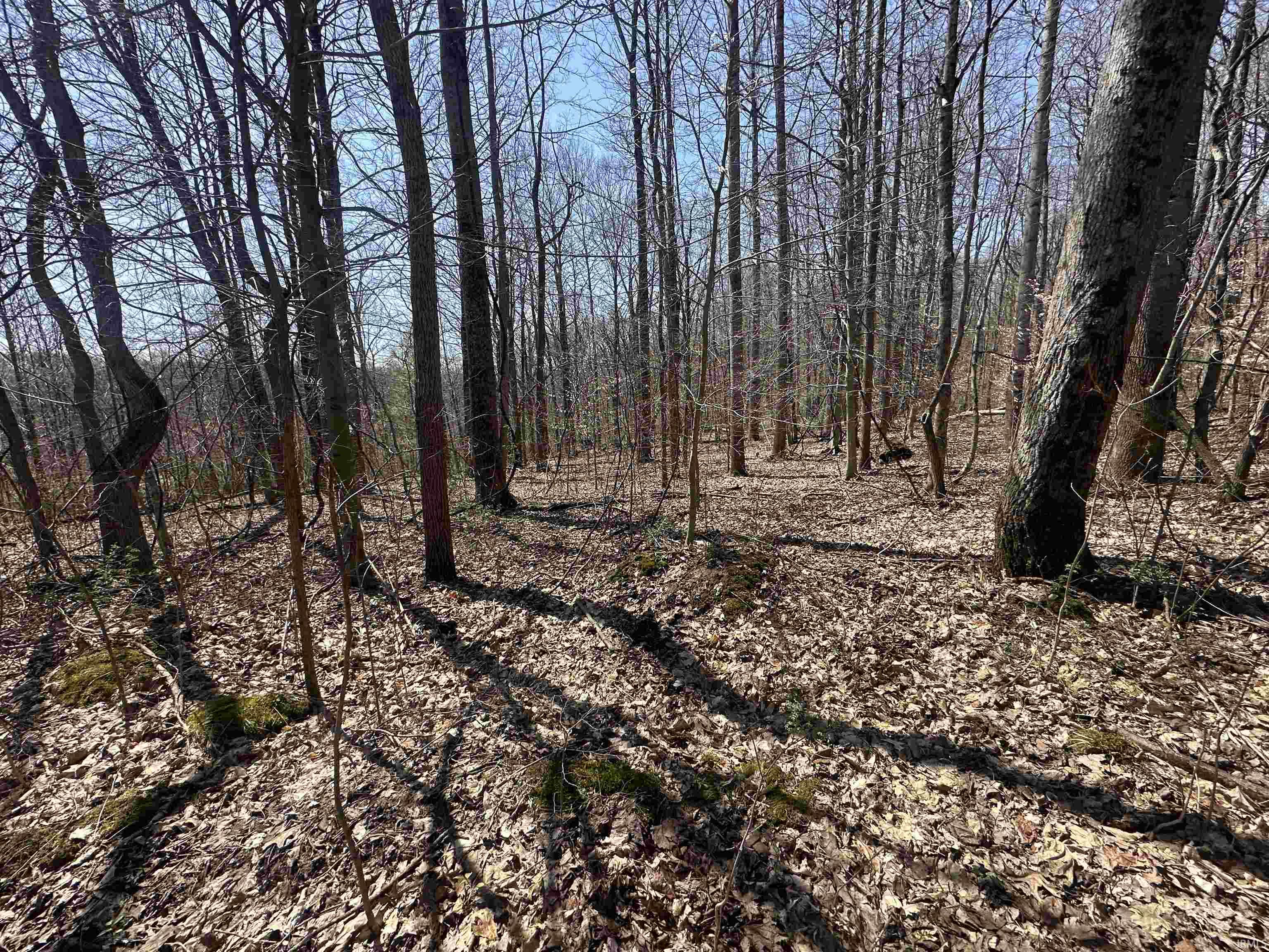 0 Red Oak Lane Laurel, IN 47024 - Photo 7 of 23
