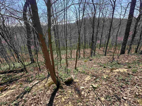 $157,000 | 0 Red Oak Lane, Laurel, IN 47024