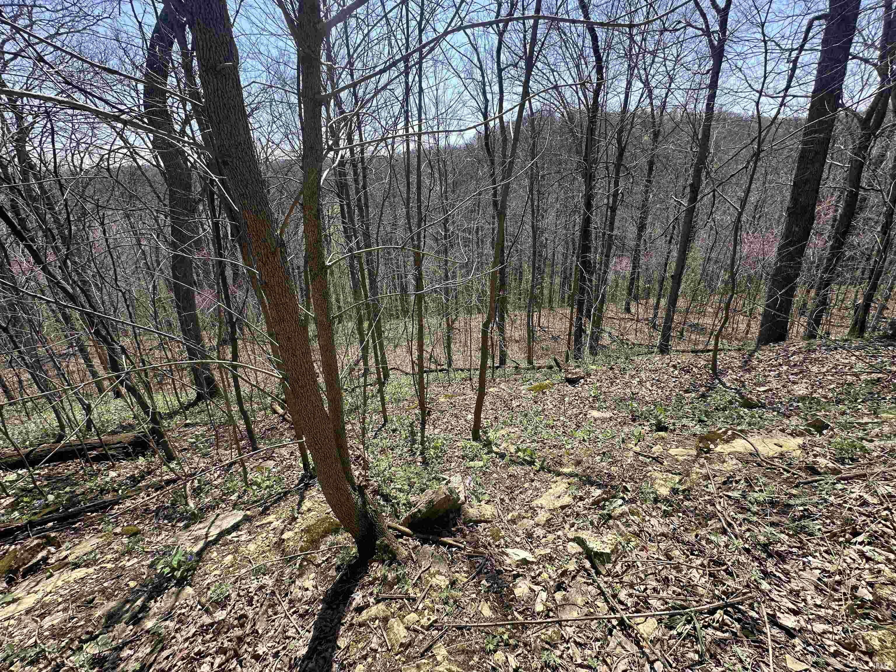 0 Red Oak Lane Laurel, IN 47024 - Photo 10 of 23