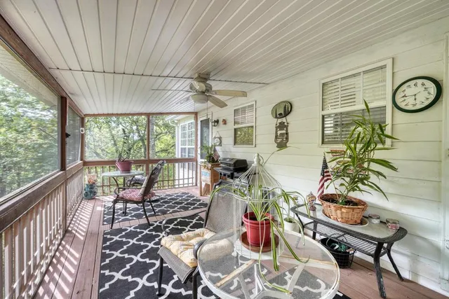 a view of a lush green field with a mountain in the background