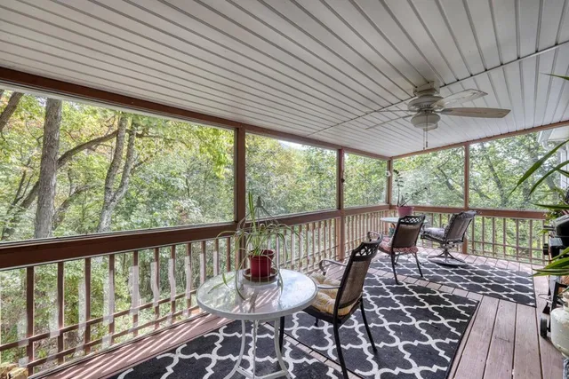 a view of a mountain in the distance