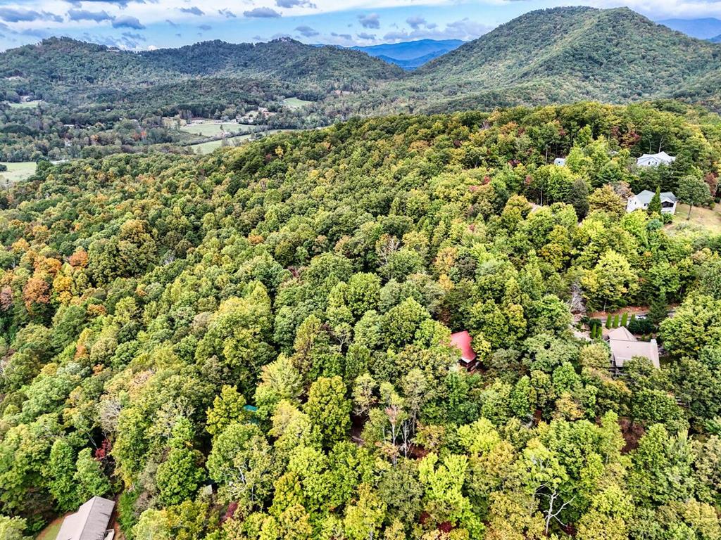 2532 Hunter Road Hiawassee, GA 30546 - Photo 37 of 54 a view of a lush green field with a mountain in the background