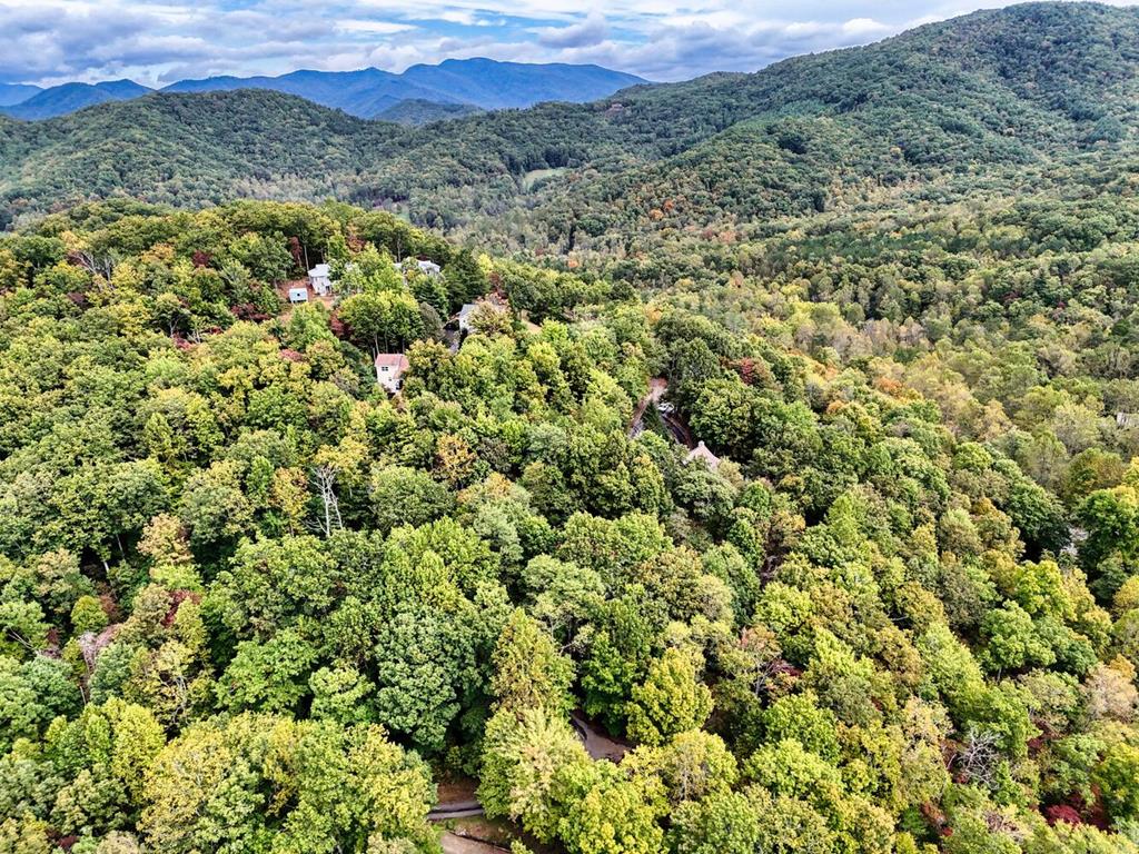 2532 Hunter Road Hiawassee, GA 30546 - Photo 38 of 54 a view of a mountain in the distance