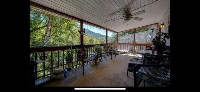 a view of a yard with plants and large trees
