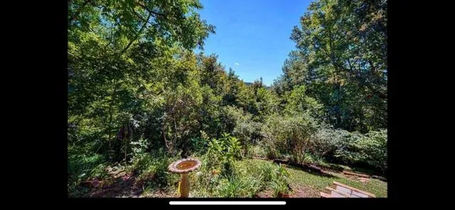 a view of outdoor space and garden