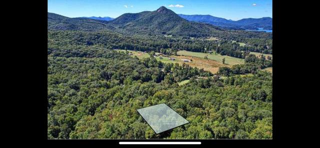 2532 Hunter Road Hiawassee, GA 30546 - Photo 44 of 54 a view of a forest with a mountain