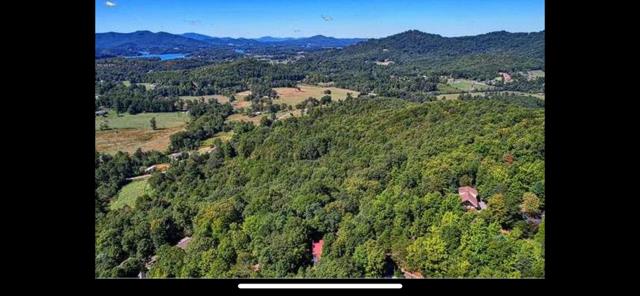 2532 Hunter Road Hiawassee, GA 30546 - Photo 45 of 54 a view of a forest with a mountain