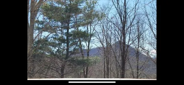 a view of outdoor space