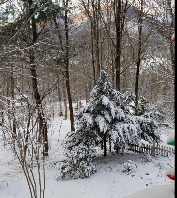 2532 Hunter Road Hiawassee, GA 30546 - Photo 48 of 54 a view of outdoor space