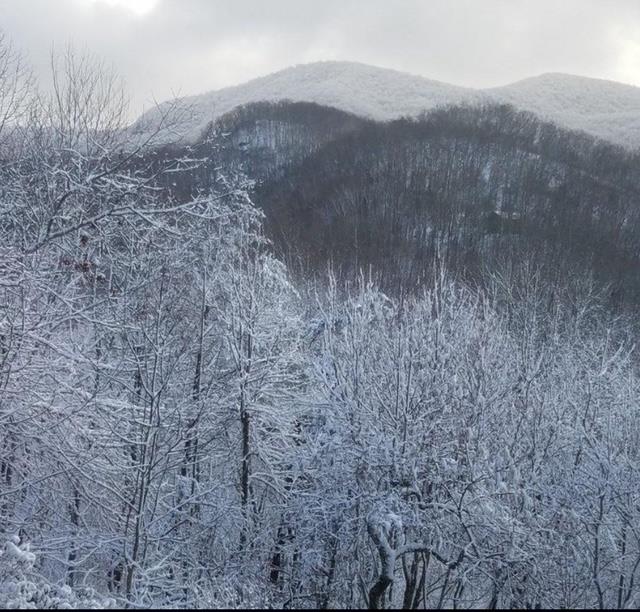 2532 Hunter Road Hiawassee, GA 30546 - Photo 49 of 54 a view of a dry field