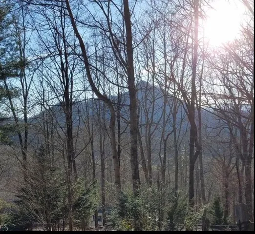 a view of a backyard from a window