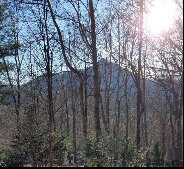 2532 Hunter Road Hiawassee, GA 30546 - Photo 50 of 54