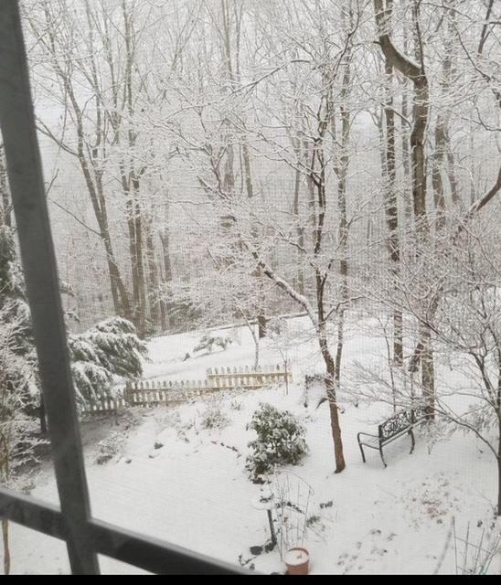 2532 Hunter Road Hiawassee, GA 30546 - Photo 51 of 54 a vase of flowers sitting on a table