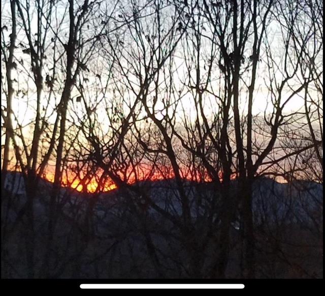 2532 Hunter Road Hiawassee, GA 30546 - Photo 52 of 54 a backyard of a house with lots of green space