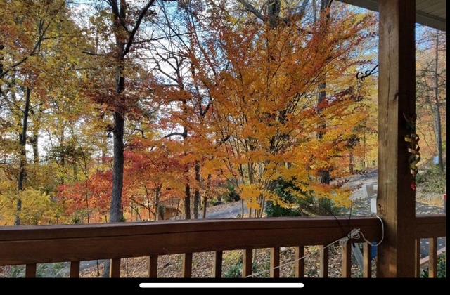 2532 Hunter Road Hiawassee, GA 30546 - Photo 53 of 54 a view of a backyard from a window