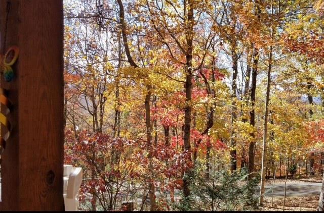 2532 Hunter Road Hiawassee, GA 30546 - Photo 54 of 54