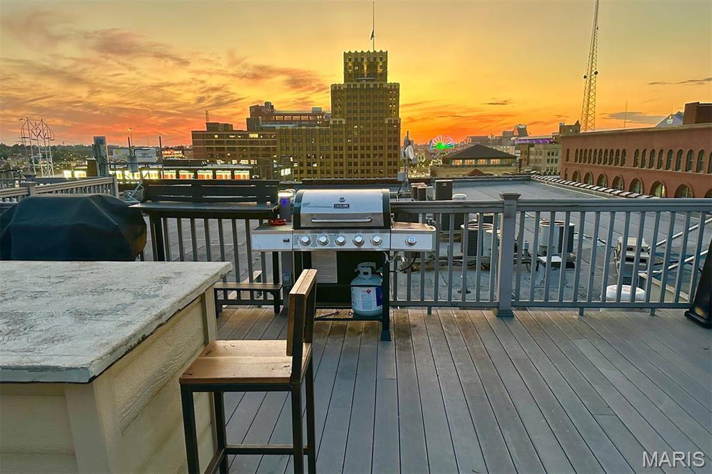 1004 Spruce Street, Unit 404 St. Louis, MO 63102 - Photo 24 of 28