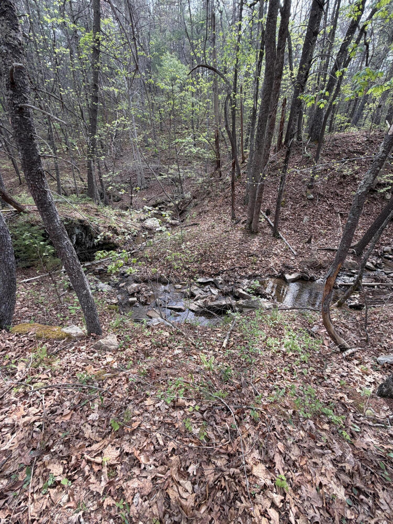0 Sugar Tree Hollow Road Eagle Rock, VA 24085 - Photo 7 of 18 Miller pic 2