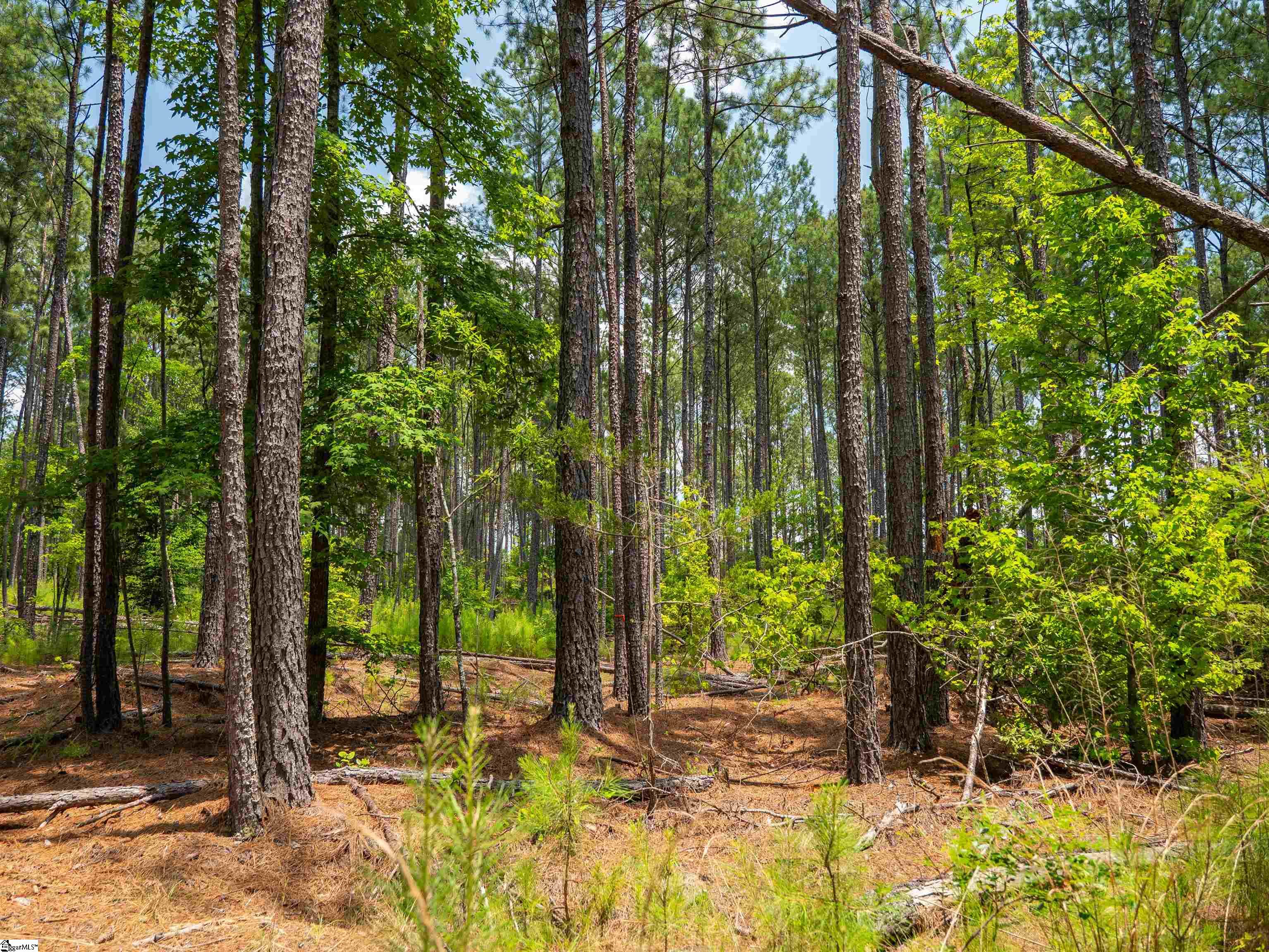 0 Cheek Road, Unit LOT 14 Gray Court, SC 29645 - Photo 16 of 20 Gallery Image 16