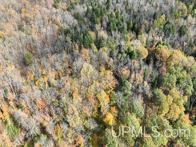 5800 Wolf Lake Road Watersmeet, MI 49969 - Photo 75 of 86