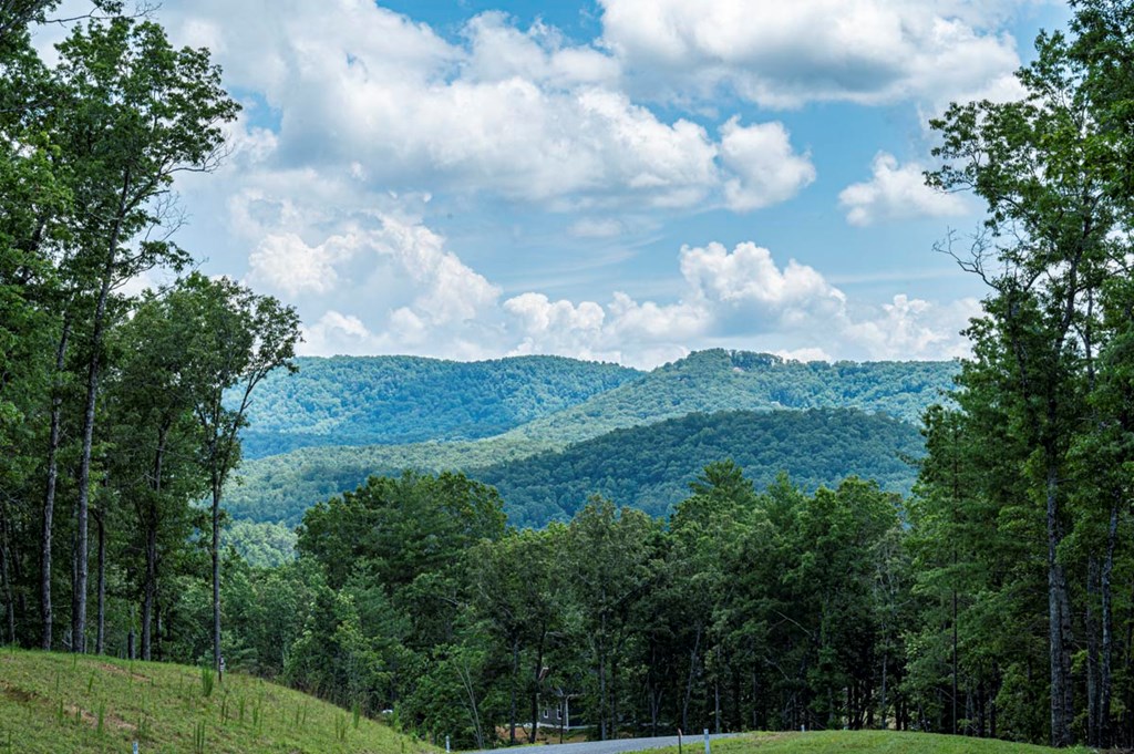 151 The Ridges Morganton, GA 30560 - Photo 14 of 35 Mountain Views Driving Through Community
